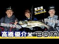 【ランカー出現】BlueBlue高橋優介プロVSデニス松下&コロチキナダル東京湾シーバスバトル！コノシロパターンに挑戦！
