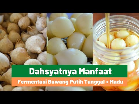 Video: Pembotan Bawang: Cara Mengekalkan Bawang Daripada Terselak