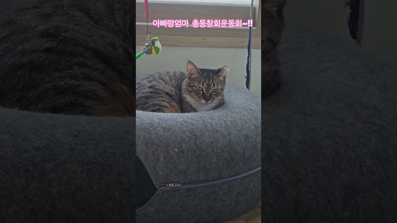 우리 딸 #햇살 #휴일 #부산강서구 #구독 #좋아요 #감사합니다