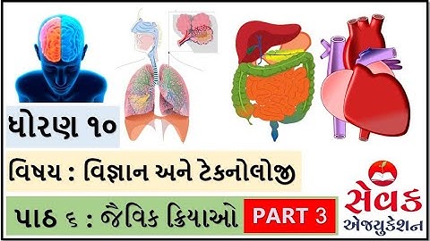 NCERT STD 10 || વિજ્ઞાન અને ટેકનોલોજી || પાઠ ૬ || જૈવિક ક્રિયાઓ || jaivik kriyao || ભાગ 3  ||SCIENCE