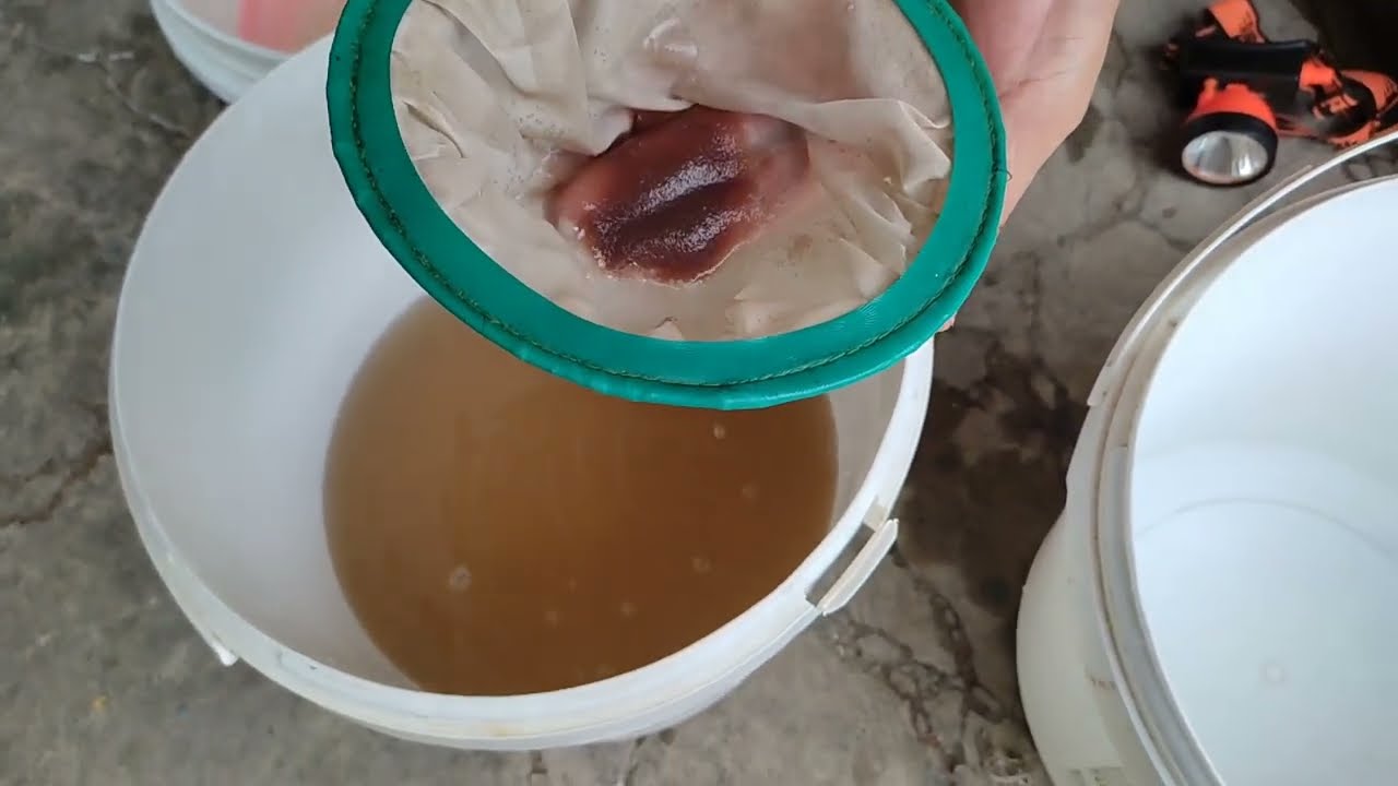 เก็บไข่ไรแดงง่ายๆ#มือใหม่ก็ทำได้