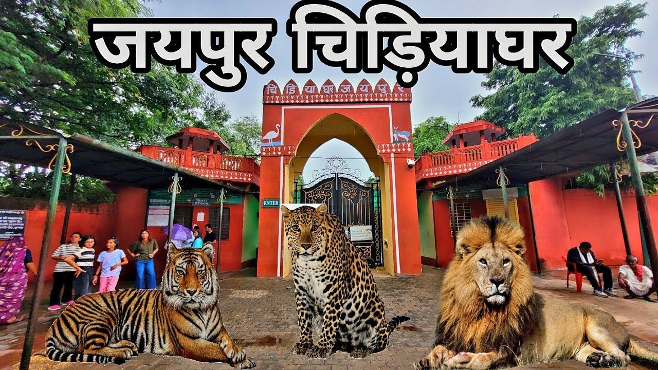 Jaipur Zoo Vlog  | जयपुर चिड़ियाघर  | Jaipur Rajasthan 