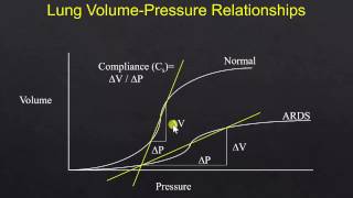 Mechanical Ventilation - Part 1