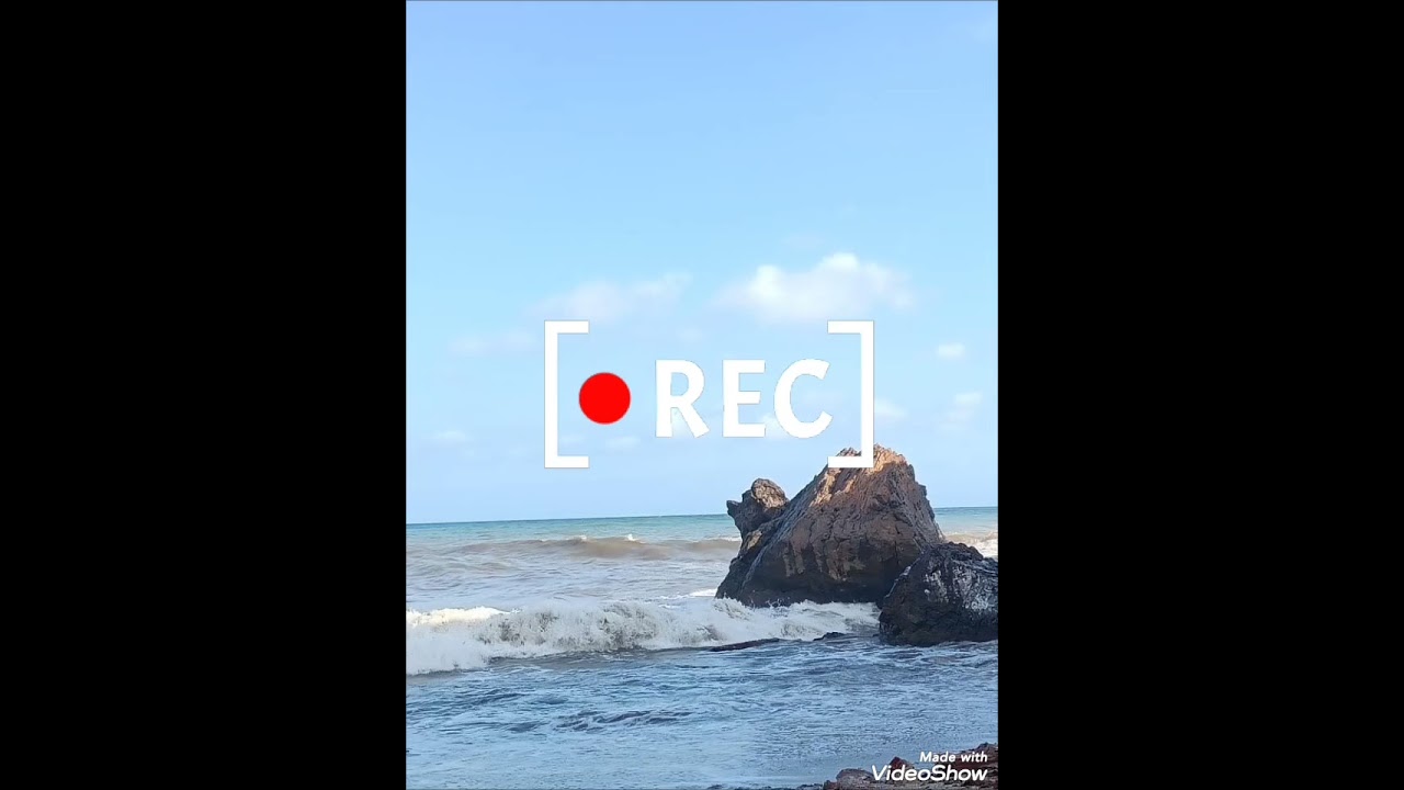 زواج حقيقي أو برمجة🧐