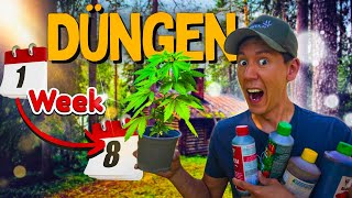 Cannabis FERTILIZING 😱 Growing for Beginners - It’s That Simple!