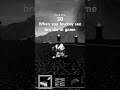POV when you see bro die in game💀