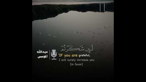 تلاوات خاشعه من القران الكريم