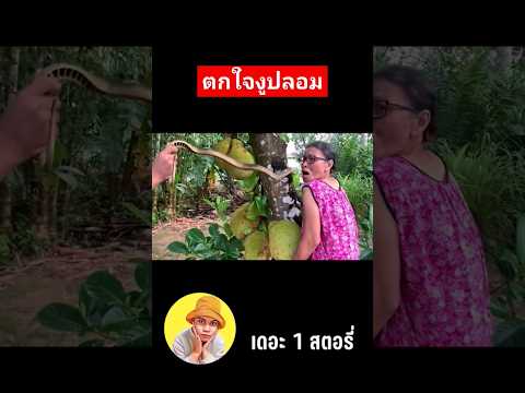 ยายตู่ตกใจงูปลอมทำหันปลอมร่วง แต่งรถทรงลุง… พี่เฟิร์ส ยายตู่ตกใจงูปลอมทำหันปลอมร่วง แต่งรถทรงลุง… พี่เฟิร์ส