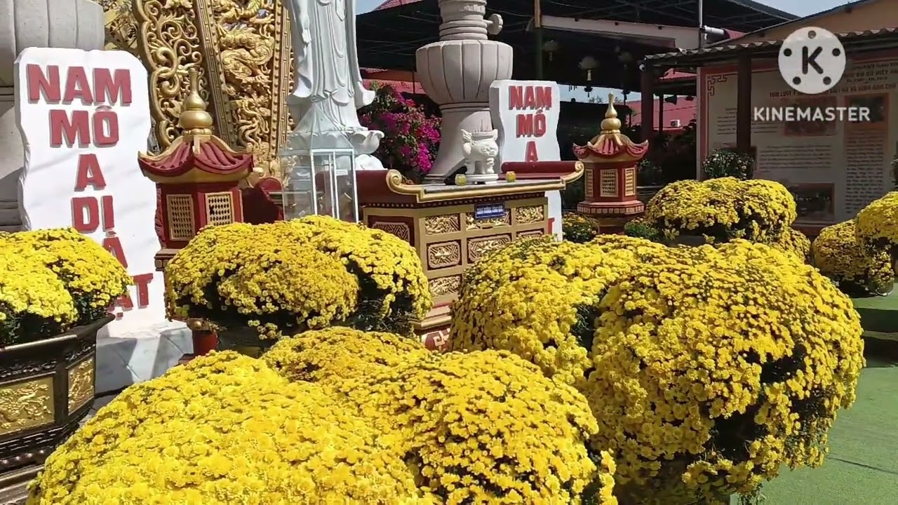 P85 CHÙA VẠN PHƯỚC, ĐỨC Quan ÂM BỒ TÁC cao 54 mét 