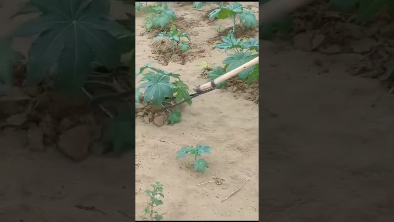 desi jugaad by farming 