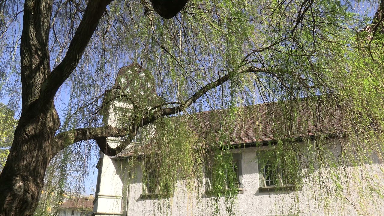 "Fame,the Thief" aus,Tage mit Daniel Schaub City Sounds.4K für Softies