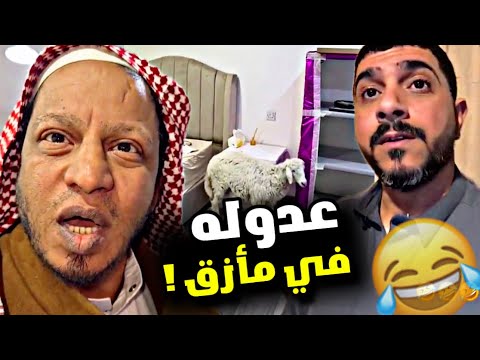 عدوله في مأزق سنابات مرتضى السلمان