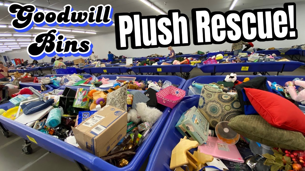 Digging Through TRASH to Save Plushies! • Goodwill Bins Outlet Thrift for Stuffed Animals + Haul