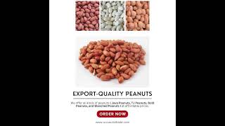 Export-quality Peanuts in India | OCC World Trade #exportimport #peanuts #india #exportquality