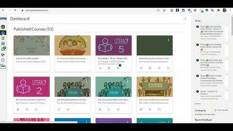 How to change your preferred language in Canvas