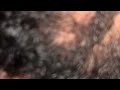 ASMR hair massage satisfaction