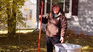 Leaf Composting | From the Ground Up