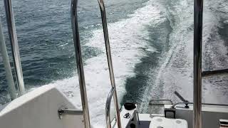 Bayliner 2556 2