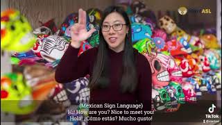 Is American Sign Language universal?
