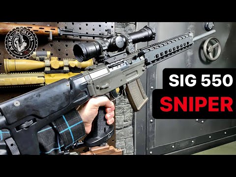 SIG 550 Sniper in 1 Minute #Shorts