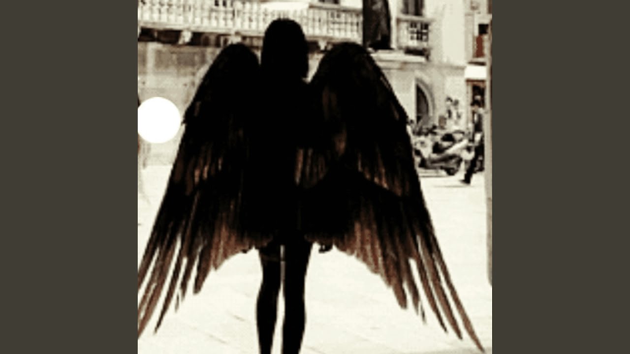 birds adlı videoyu YouTube'da izle birds adlı videoyu YouTube'da izle