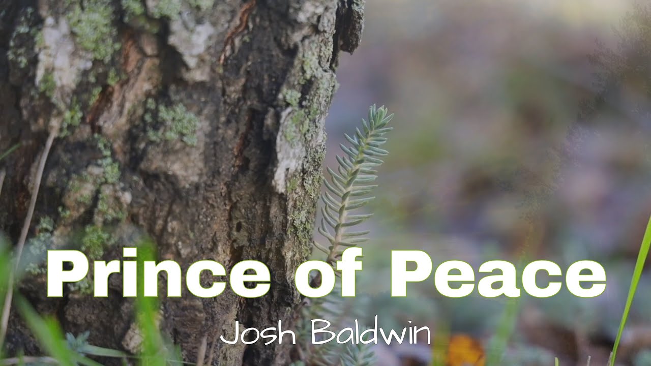 Prince of Peace by Josh Baldwin with lyrics