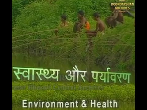 वीडियो: मानव स्वास्थ्य पर पर्यावरण का प्रभाव