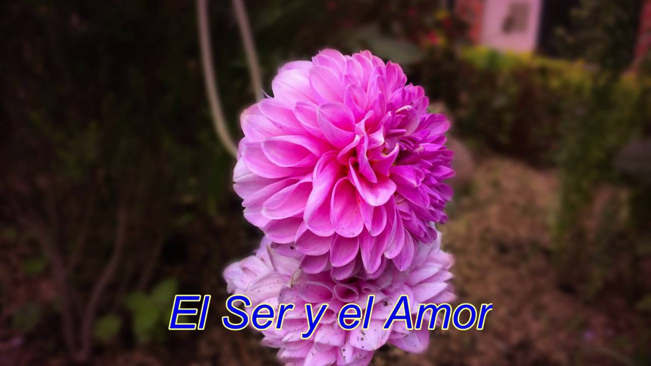 EL SER Y EL AMOR iluminacion industrial