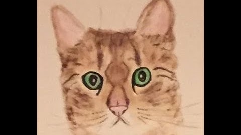 0415: Implementing a Doubly Linked List Iterator