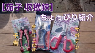 【茄子 収穫鋏】ナスの収穫に使用している収穫ハサミをちょっぴり紹介します 2020/3/24