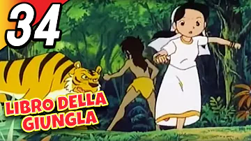 LIBRO DELLA GIUNGLA | Episodio 34 | Italiano | The Jungle Book