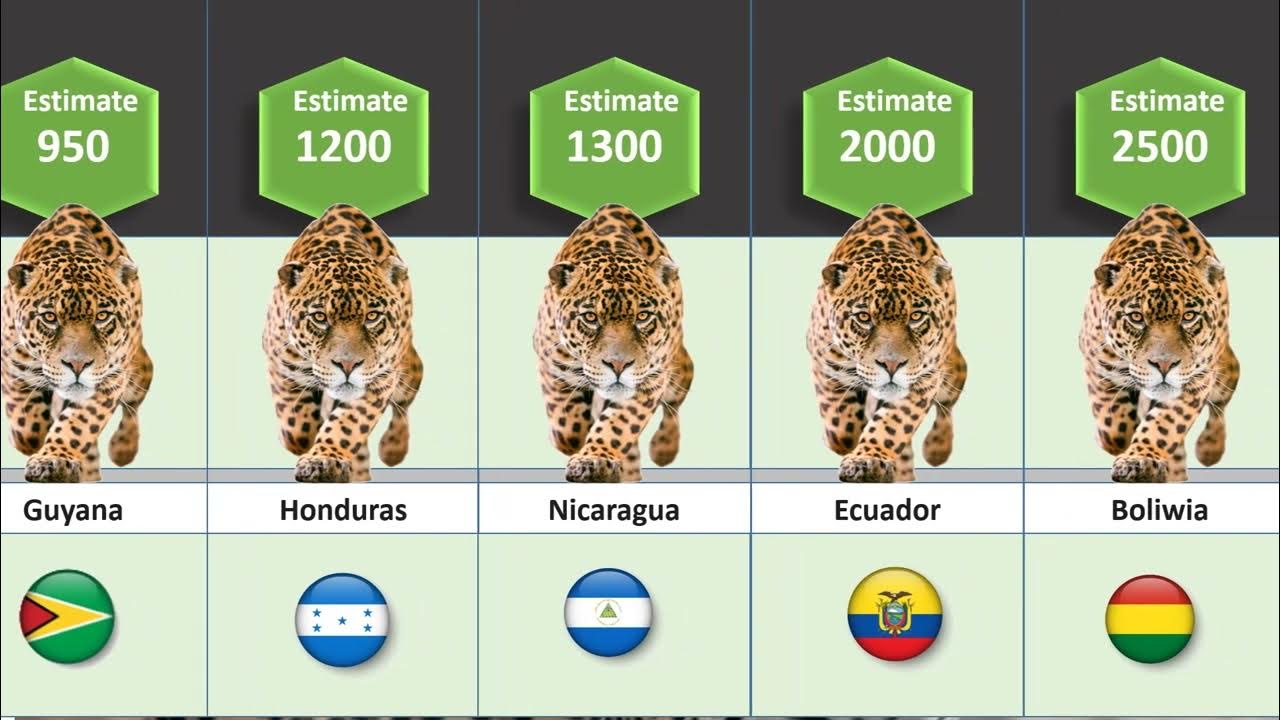 Jaguar by country, Living and extinct Jaguar population by country