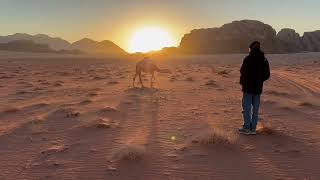 Gazing at Camels, Wadi Rum Desert, Jordan, Explore! from Dale R. "🇯🇴"