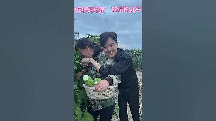 從小我是個單親家庭，母親辛苦了，這輩子誰都不欠，唯獨欠自己母親，一輩子還不完，您的後半輩子兒子陪你到老，願時光溫柔對待@抖音小助手 - 天天要聞