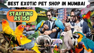 Famous Exotic pet shop in Mumbai | Birds | Cats Macaw & More | Wajid Exotic Pet Shop Mumbai Profile