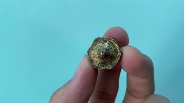 Phần 3: Giới thiệu cấu tạo bộ phận đùn nhựa trên máy in 3D