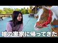 5年ぶりに嫁の実家に帰ります