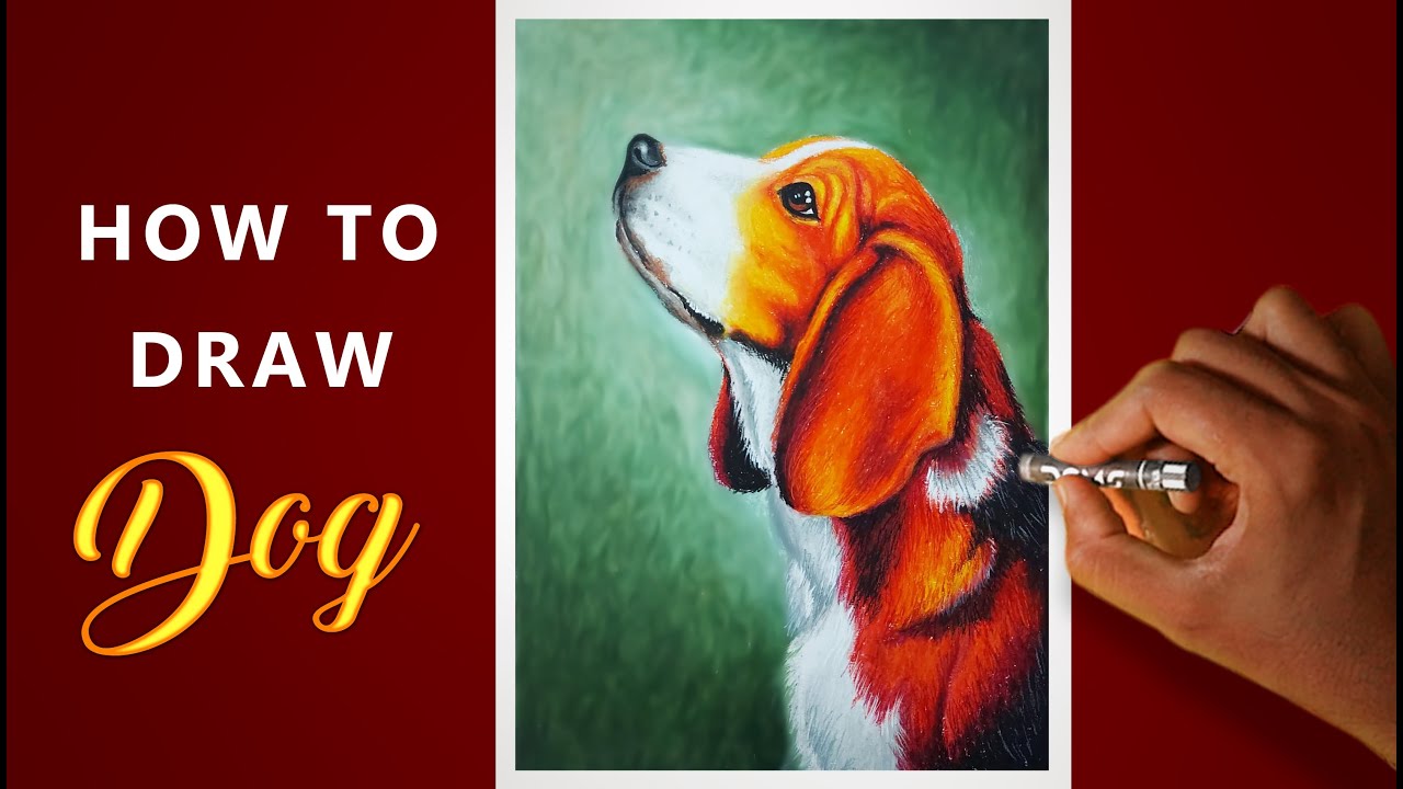 How to Draw a Simple Dog With Oil Pastels - HubPages