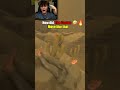 How did the cactus do that...