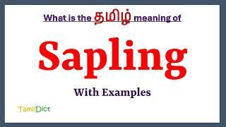 Meaning of Sapling in Tamil | Sapling in Tamil | Sapling in Tamil Dictionary |