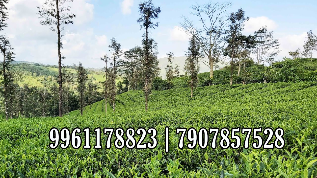 15 Acre highway side land for sale near Vagamon at very low price