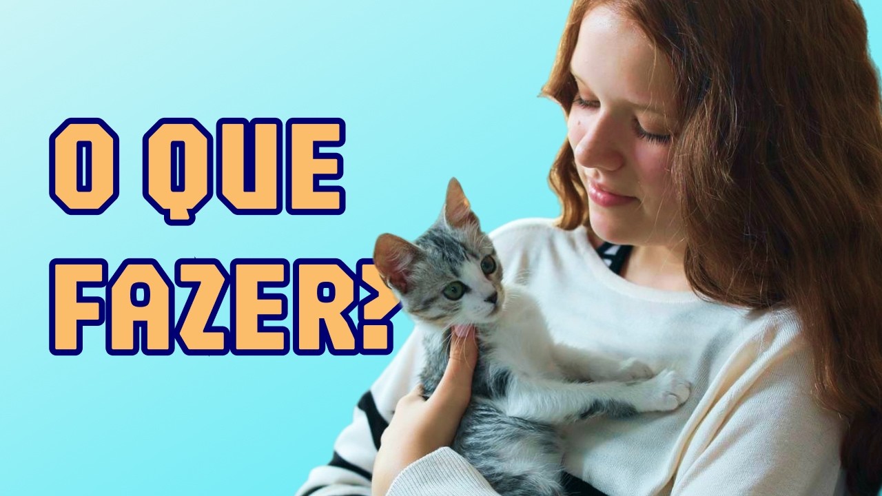 Adotou um gato? Veja o que você precisa fazer!