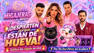 Galilea los REGANA EN VIVO porque NO HACEN NADA
