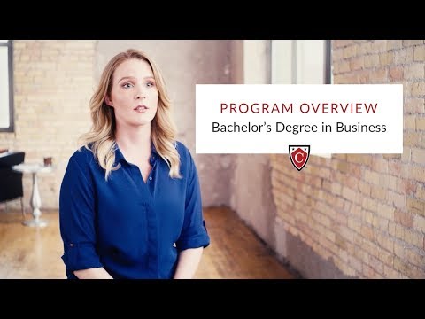 Program Overview | Bachelor’s Degree in Business Program Overview | Bachelor’s Degree in Business
