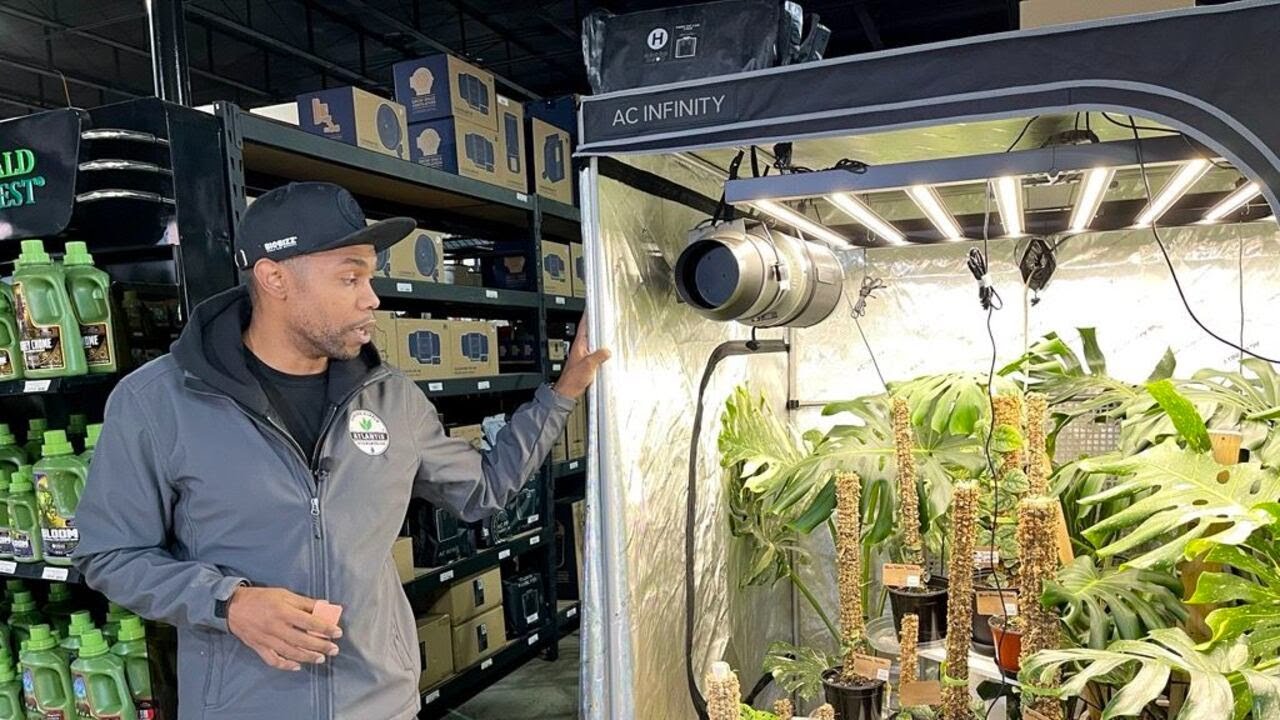 How to protect your plants from freezing weather - YouTube