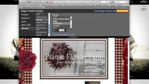 How to change your font on blogger