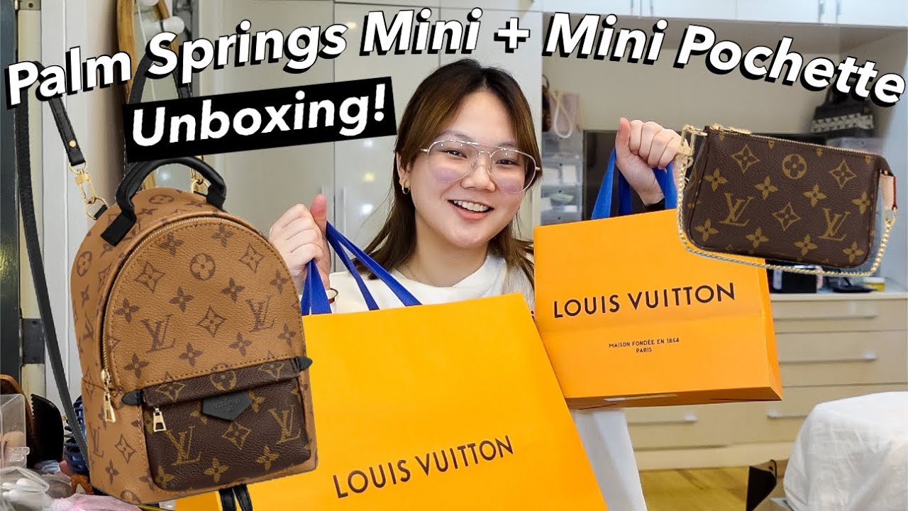 Louis Vuitton Unboxing - Palm Springs Mini Reverse Monogram