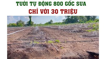 HỆ THỐNG TƯỚI ĐẤT DỐC 30TR CHO 800 GỐC DÙNG BÉC VP5 30 LÍT | VNPLANT