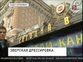 Зверская дрессировка