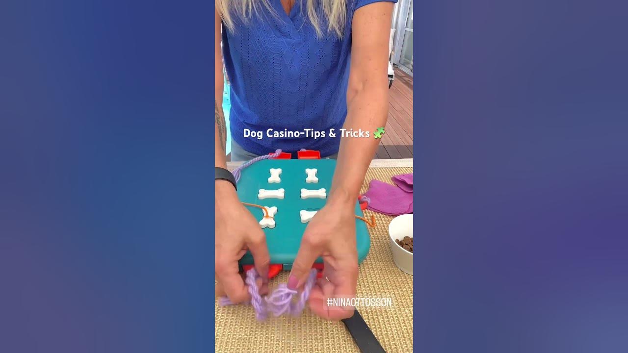 Nina Ottosson's Tips & Tricks: Hacking the Dog Casino – OH Blog